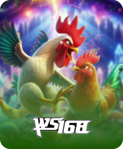 WS168 COCKFIGHT