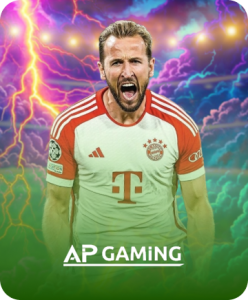 AP GAMING
